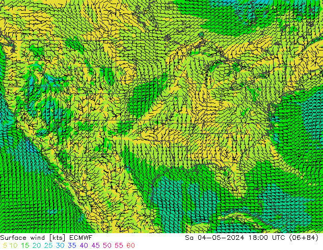 Surface wind ECMWF Sa 04.05.2024 18 UTC