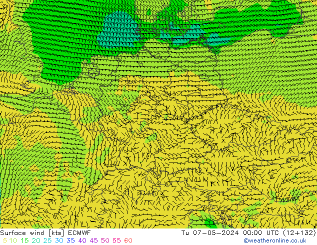 Vent 10 m ECMWF mar 07.05.2024 00 UTC