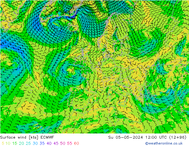 Surface wind ECMWF Su 05.05.2024 12 UTC