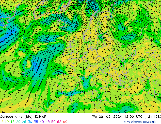 Surface wind ECMWF We 08.05.2024 12 UTC