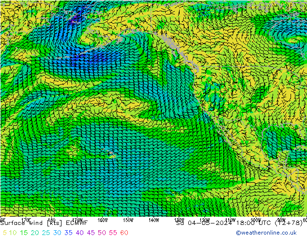 Wind 10 m ECMWF za 04.05.2024 18 UTC