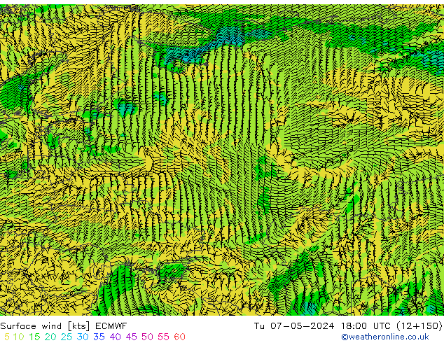 ветер 10 m ECMWF вт 07.05.2024 18 UTC
