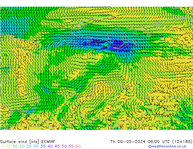 Surface wind ECMWF Th 09.05.2024 06 UTC