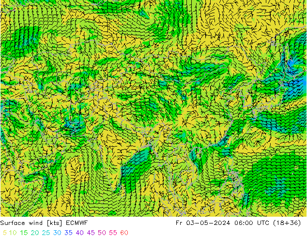 Wind 10 m ECMWF vr 03.05.2024 06 UTC