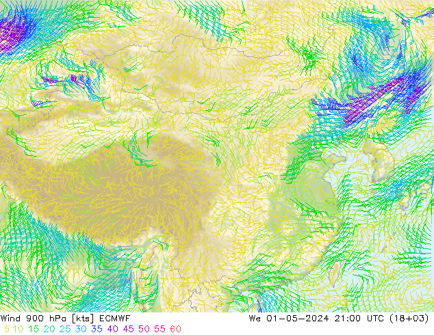 风 900 hPa ECMWF 星期三 01.05.2024 21 UTC