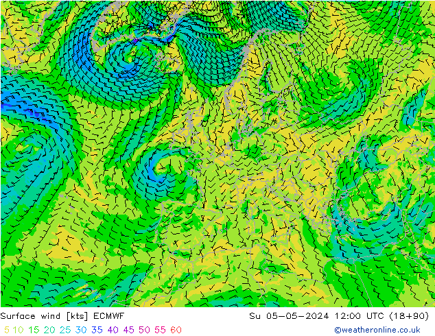 Bodenwind ECMWF So 05.05.2024 12 UTC