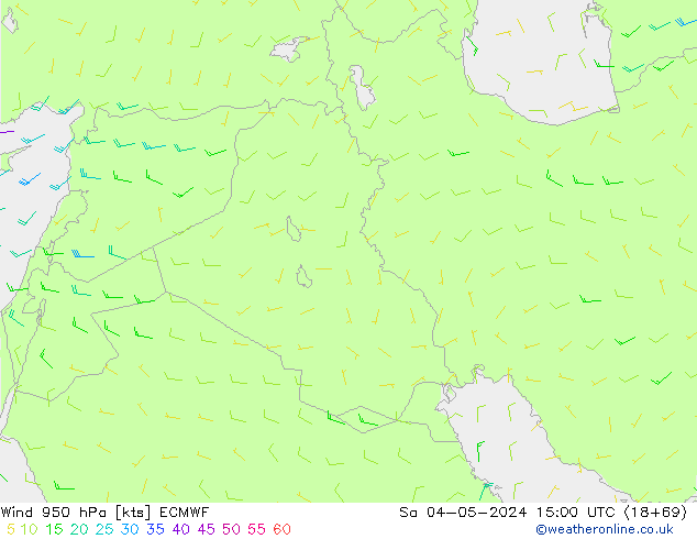 wiatr 950 hPa ECMWF so. 04.05.2024 15 UTC