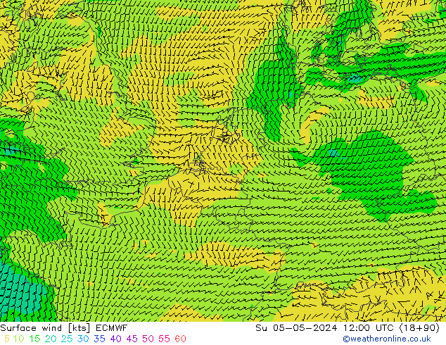 Vento 10 m ECMWF Dom 05.05.2024 12 UTC