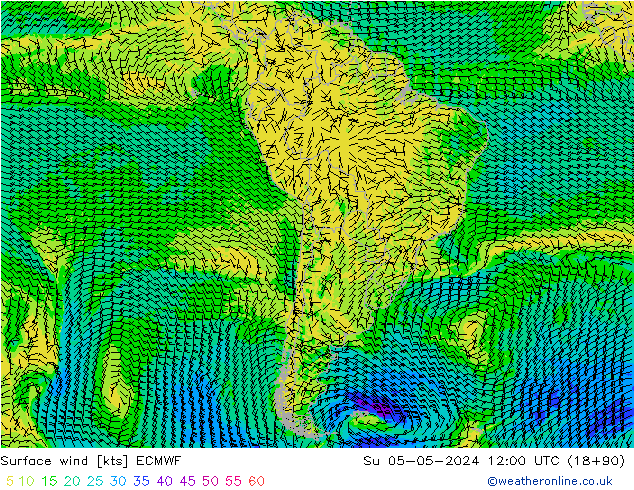 Wind 10 m ECMWF zo 05.05.2024 12 UTC
