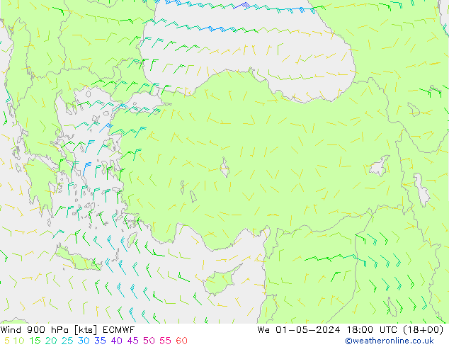 Wind 900 hPa ECMWF wo 01.05.2024 18 UTC