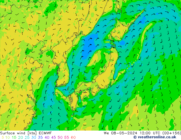 Vento 10 m ECMWF Qua 08.05.2024 12 UTC