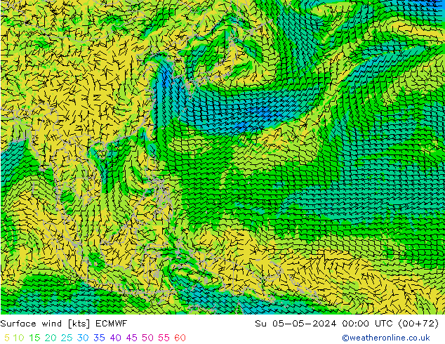 Surface wind ECMWF Su 05.05.2024 00 UTC