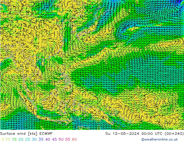 wiatr 10 m ECMWF nie. 12.05.2024 00 UTC