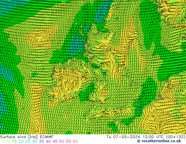 wiatr 10 m ECMWF wto. 07.05.2024 12 UTC