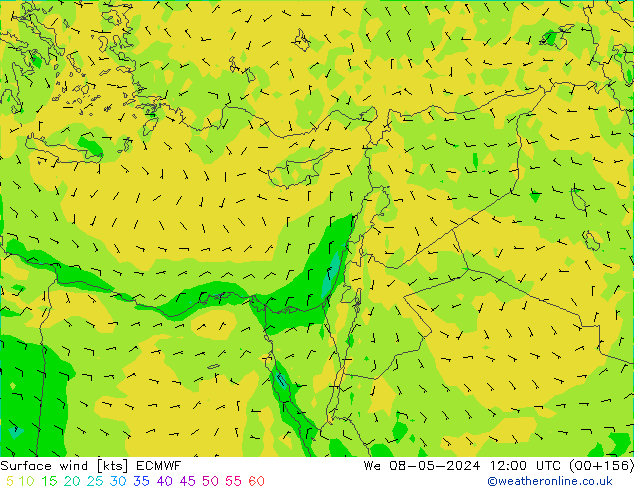 Wind 10 m ECMWF wo 08.05.2024 12 UTC