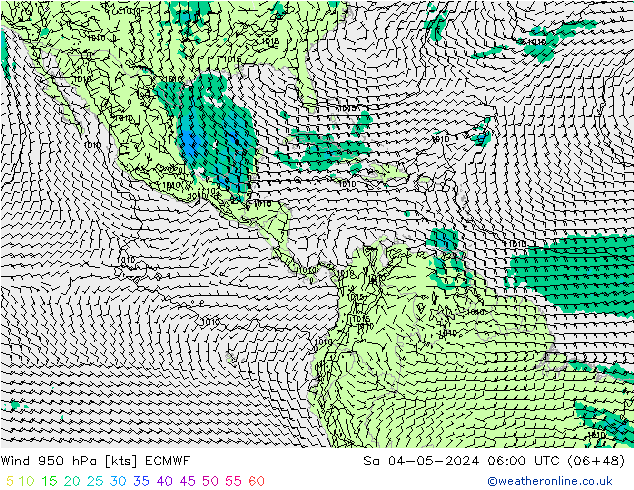 Wind 950 hPa ECMWF za 04.05.2024 06 UTC