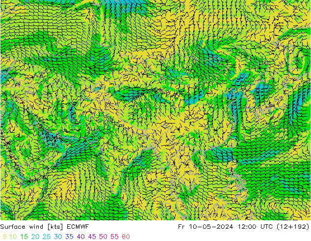 Bodenwind ECMWF Fr 10.05.2024 12 UTC
