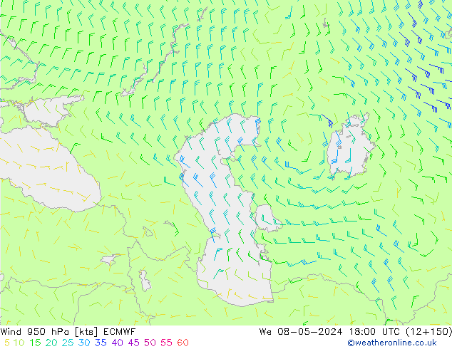 Rüzgar 950 hPa ECMWF Çar 08.05.2024 18 UTC