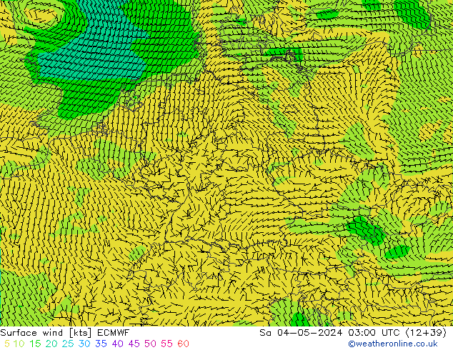 Surface wind ECMWF Sa 04.05.2024 03 UTC