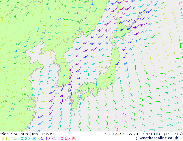 Wind 950 hPa ECMWF Su 12.05.2024 12 UTC