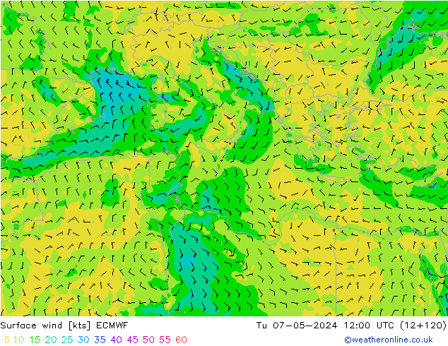 Surface wind ECMWF Tu 07.05.2024 12 UTC