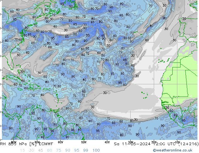 RH 850 hPa ECMWF sab 11.05.2024 12 UTC