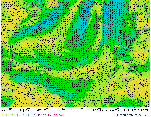 Surface wind ECMWF Tu 07.05.2024 12 UTC