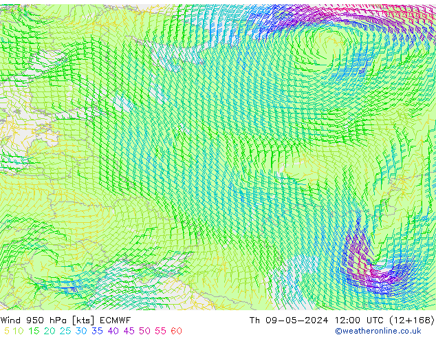 Wind 950 hPa ECMWF Th 09.05.2024 12 UTC