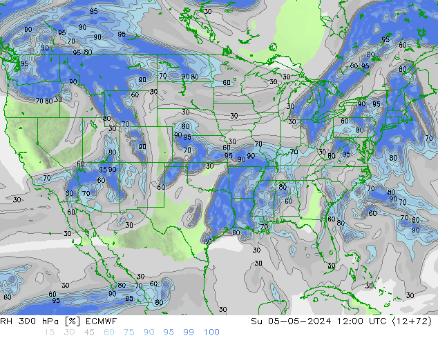 RH 300 гПа ECMWF Вс 05.05.2024 12 UTC