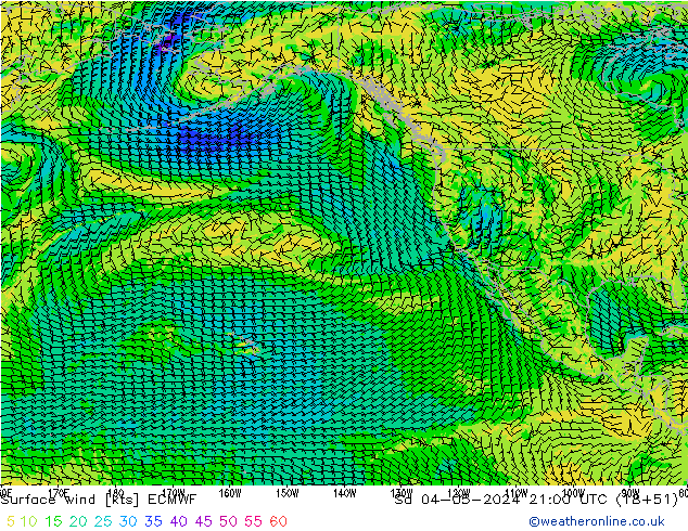 Surface wind ECMWF Sa 04.05.2024 21 UTC