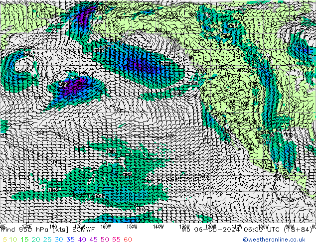 Rüzgar 950 hPa ECMWF Pzt 06.05.2024 06 UTC