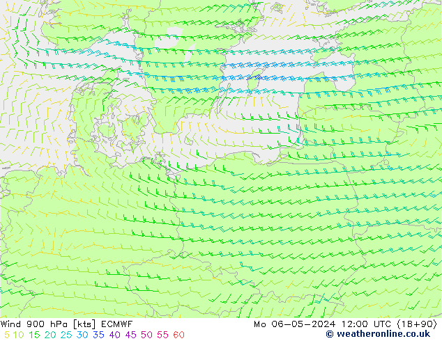 Wind 900 hPa ECMWF Mo 06.05.2024 12 UTC