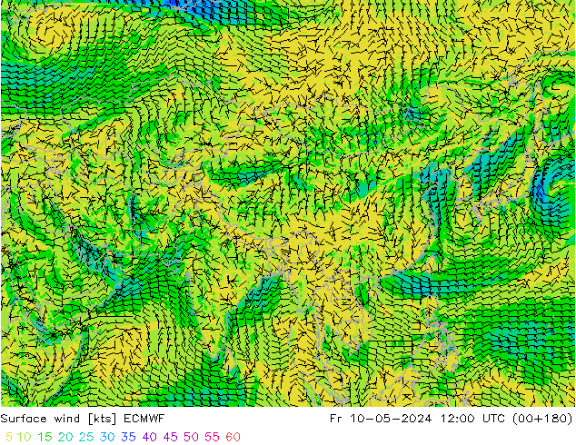 Bodenwind ECMWF Fr 10.05.2024 12 UTC
