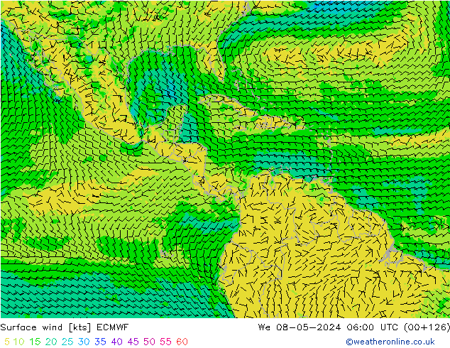 Viento 10 m ECMWF mié 08.05.2024 06 UTC