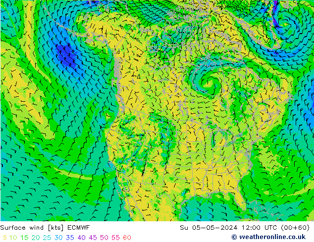  10 m ECMWF  05.05.2024 12 UTC