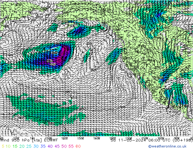 wiatr 950 hPa ECMWF so. 11.05.2024 06 UTC