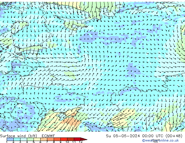 Vento 10 m (bft) ECMWF Dom 05.05.2024 00 UTC