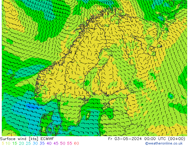 Viento 10 m ECMWF vie 03.05.2024 00 UTC