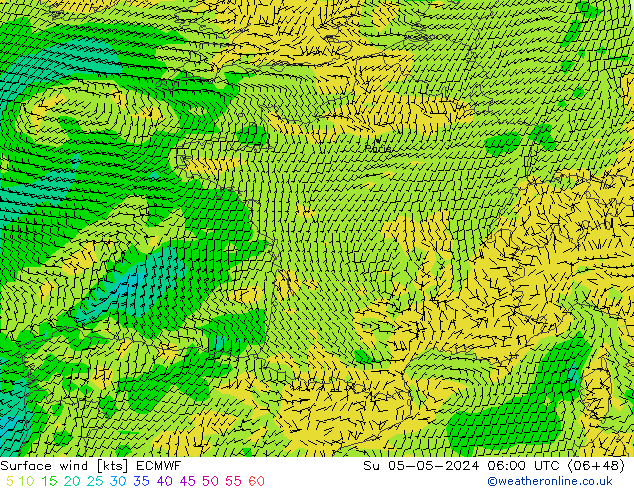 Bodenwind ECMWF So 05.05.2024 06 UTC