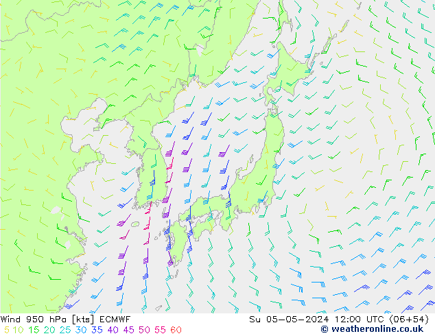 Prec 6h/Wind 10m/950 ECMWF Ne 05.05.2024 12 UTC
