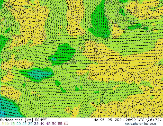 ветер 10 m ECMWF пн 06.05.2024 06 UTC