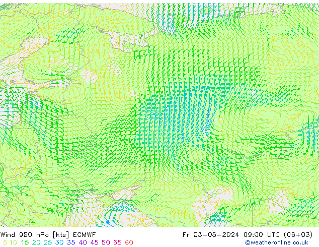 Rüzgar 950 hPa ECMWF Cu 03.05.2024 09 UTC