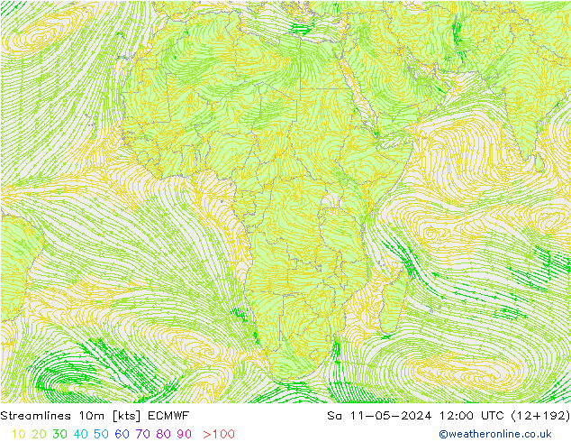 Rüzgar 10m ECMWF Cts 11.05.2024 12 UTC