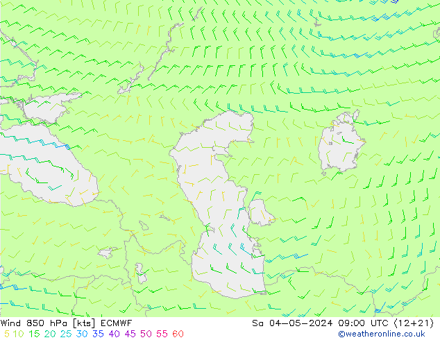  Sáb 04.05.2024 09 UTC