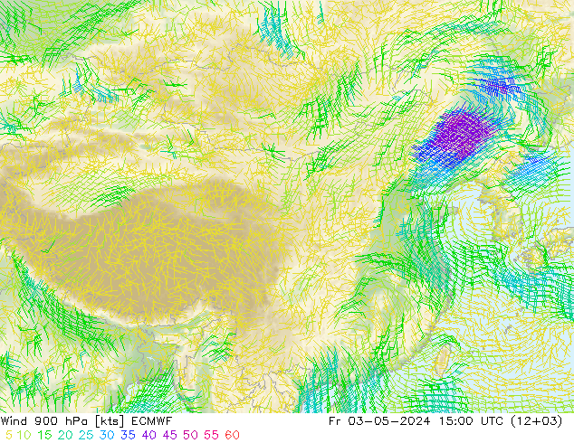 风 900 hPa ECMWF 星期五 03.05.2024 15 UTC