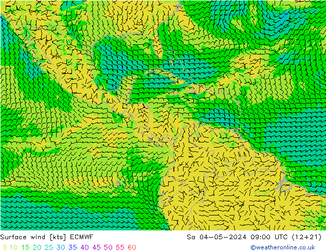 Surface wind ECMWF Sa 04.05.2024 09 UTC