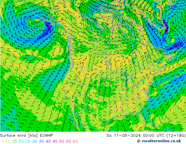Surface wind ECMWF Sa 11.05.2024 00 UTC