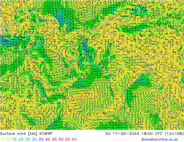 Surface wind ECMWF So 11.05.2024 18 UTC