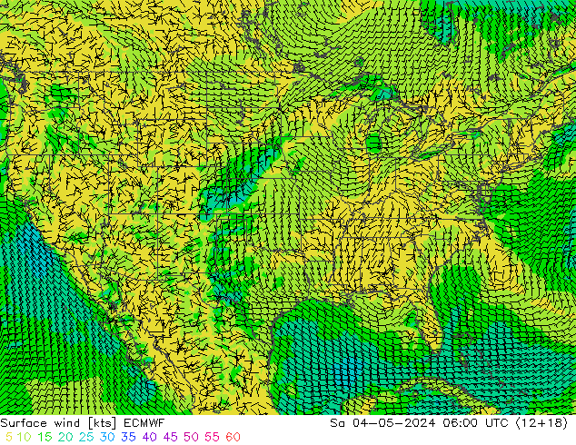 Rüzgar 10 m ECMWF Cts 04.05.2024 06 UTC