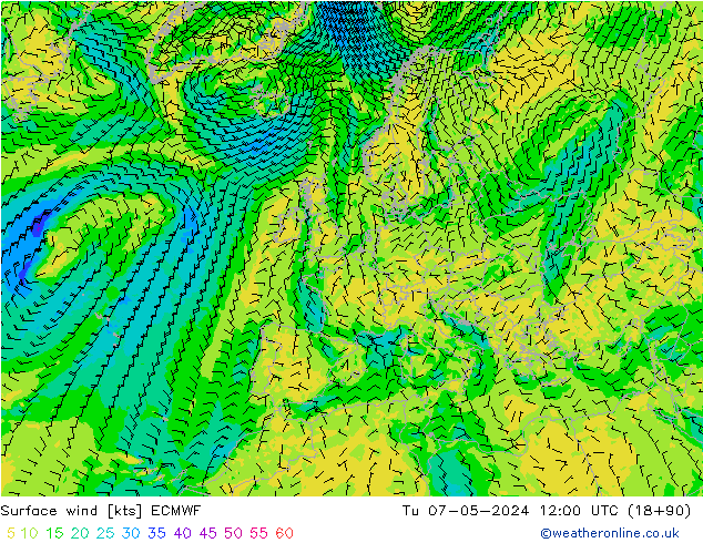 Bodenwind ECMWF Di 07.05.2024 12 UTC